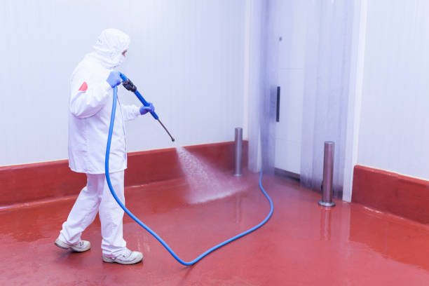 Best Solar Panel Cleaning  in Linda, CA